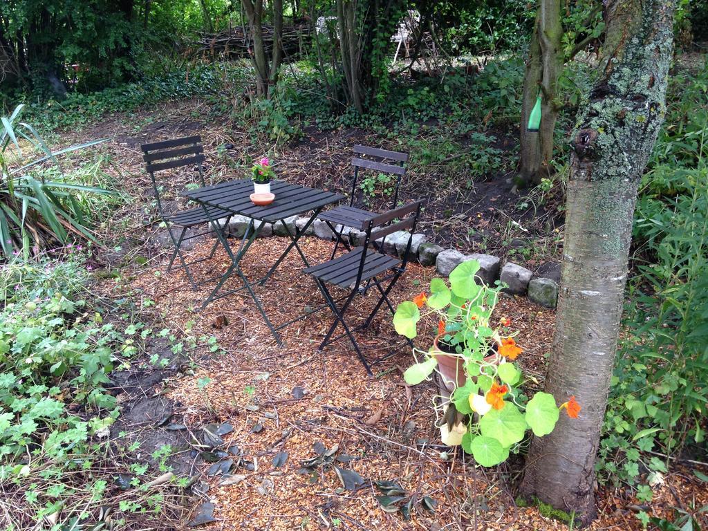 B&B De Henehoeve Heks Zewnętrze zdjęcie