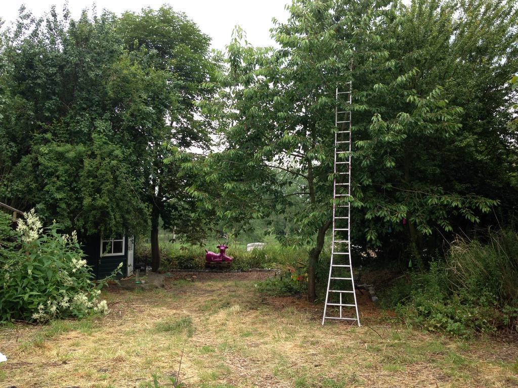 B&B De Henehoeve Heks Zewnętrze zdjęcie