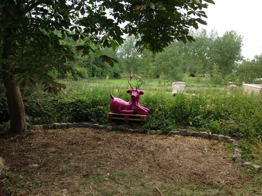B&B De Henehoeve Heks Zewnętrze zdjęcie